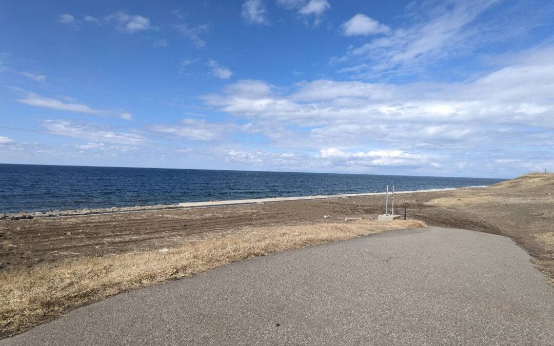 ご無沙汰しております。。。